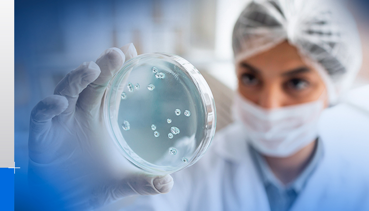 Contaminação microbiológica: o que é e como prevenir